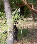 FOX_8986