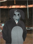 DSCN2942