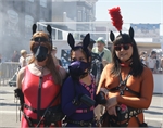 Folsom2010-3