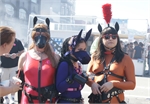 Folsom2010-4