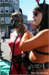 Folsom2010-CN-1